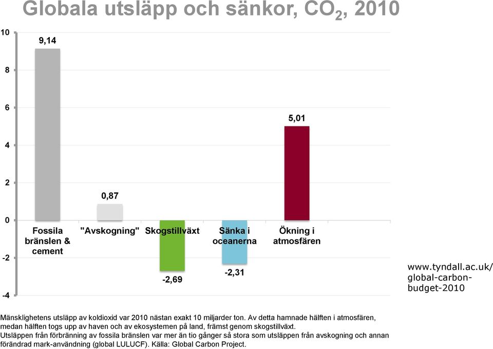 Av detta hamnade hälften i atmosfären, medan hälften togs upp av haven och av ekosystemen på land, främst genom skogstillväxt.