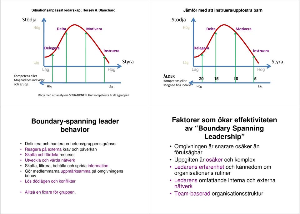 och fördela resurser Utveckla och vårda nätverk Skaffa, filtrera, behålla och sprida information Gör medlemmarna uppmärksamma på omgivningens behov Lös dödlägen och konflikter Alltså en fixare för