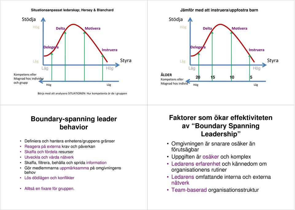 och fördela resurser Utveckla och vårda nätverk Skaffa, filtrera, behålla och sprida information Gör medlemmarna uppmärksamma på omgivningens behov Lös dödlägen och konflikter Alltså en fixare för