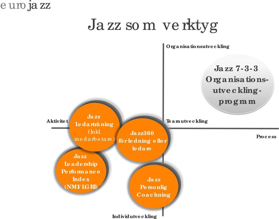 medarbetare) Jazz Leadership Performance Index (NMI/LGRI) Jazz360
