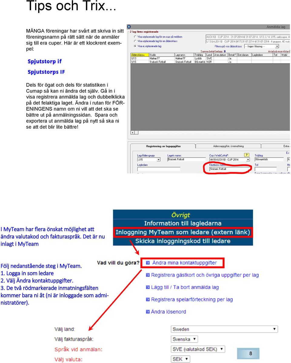 Ändra i rutan för FÖR- ENINGENS namn om ni vill att det ska se bättre ut på anmälningssidan. Spara och exportera ut anmälda lag på nytt så ska ni se att det blir lite bättre!