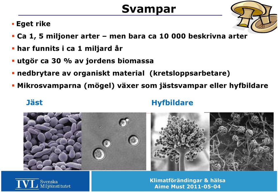 jordens biomassa nedbrytare av organiskt material