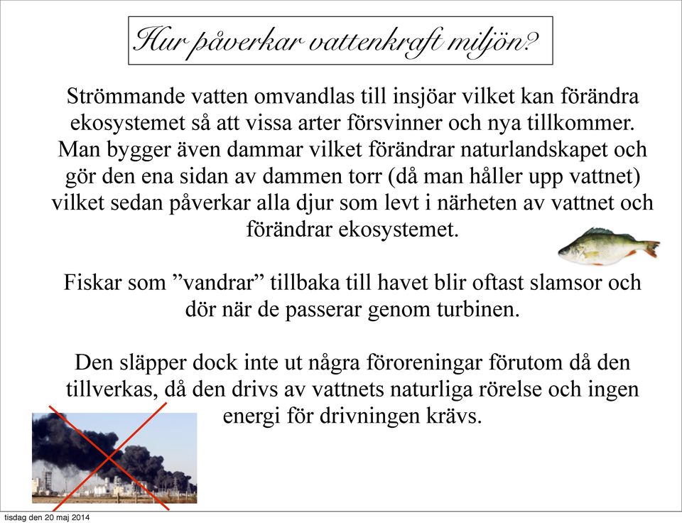 som levt i närheten av vattnet och förändrar ekosystemet.