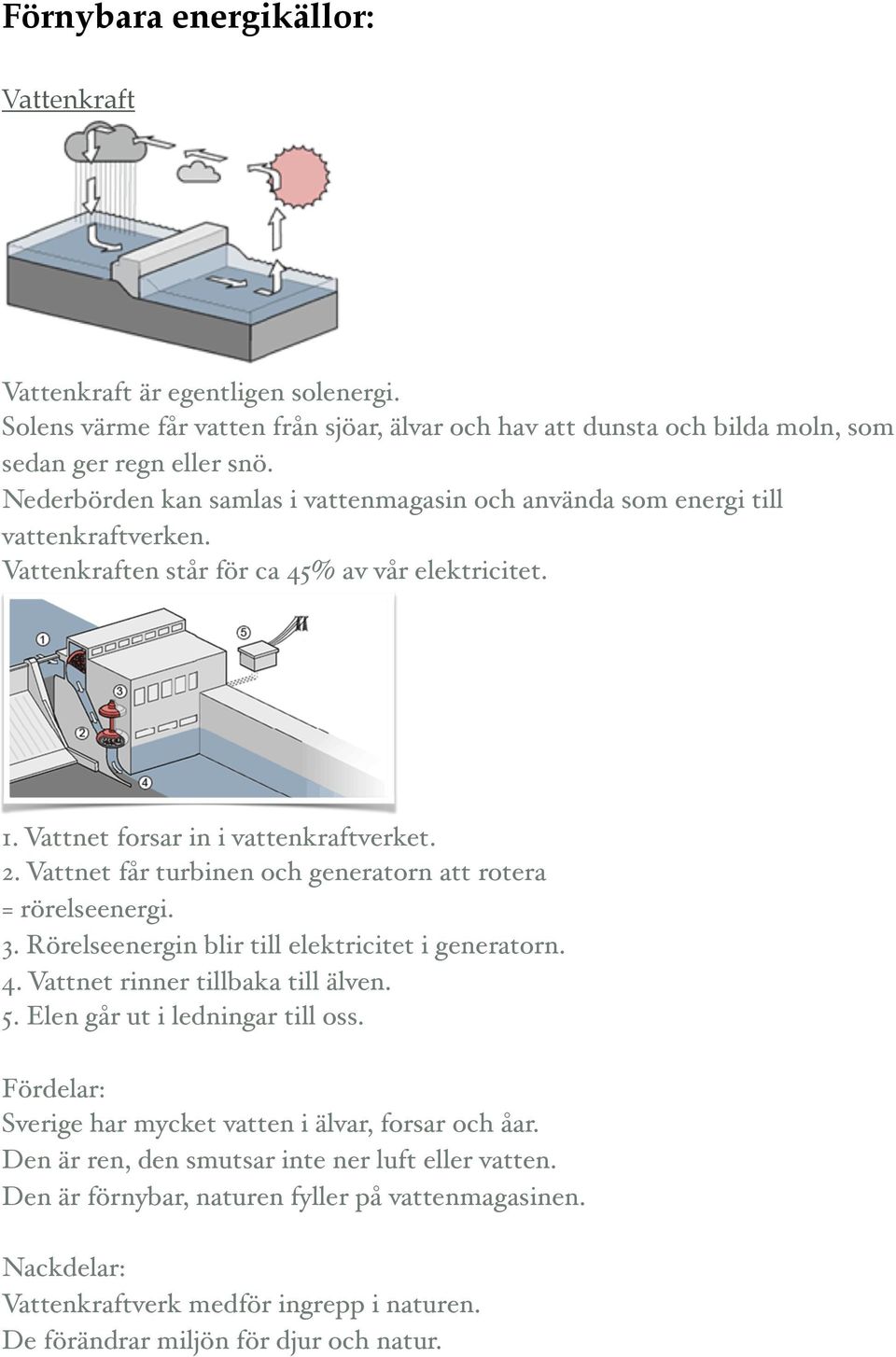 Vattnet får turbinen och generatorn att rotera = rörelseenergi. 3. Rörelseenergin blir till elektricitet i generatorn. 4. Vattnet rinner tillbaka till älven. 5. Elen går ut i ledningar till oss.