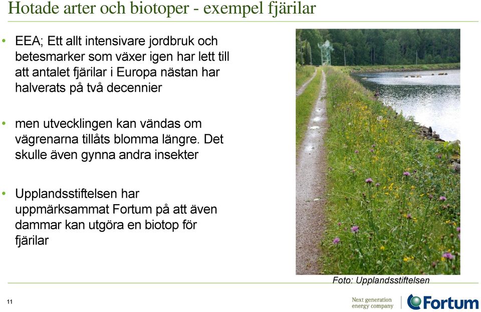 utvecklingen kan vändas m vägrenarna tillåts blmma längre.