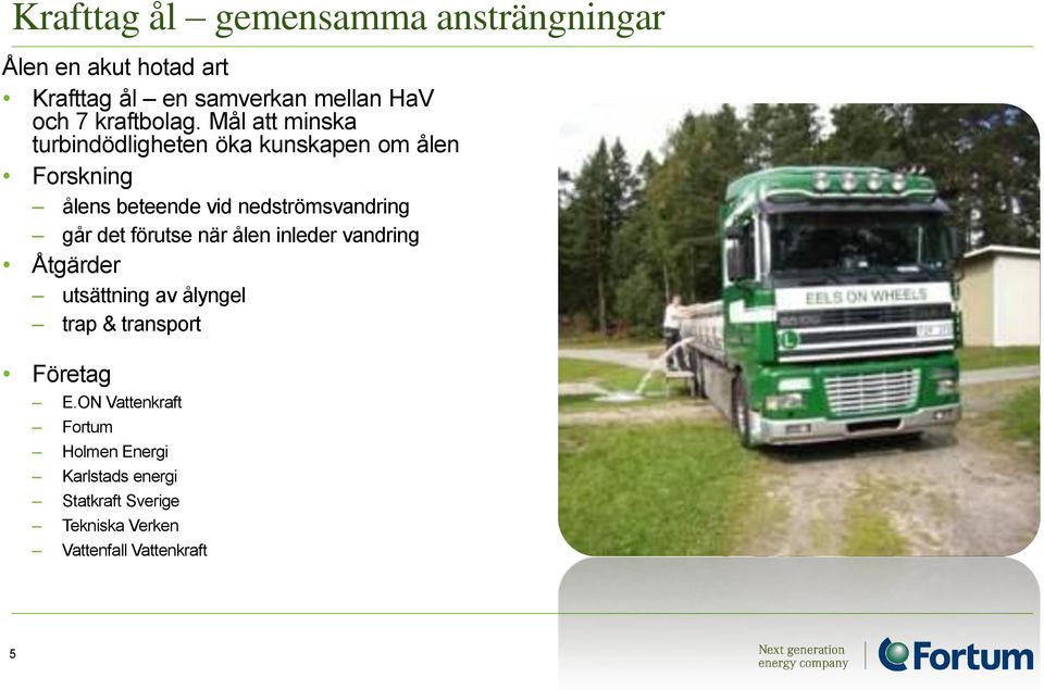 Mål att minska turbindödligheten öka kunskapen m ålen Frskning ålens beteende vid nedströmsvandring går