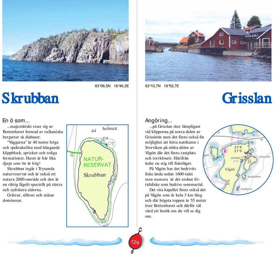 Skrubban ingår i Trysunda naturreservat och är också ett natura 2000-område och den är en riktig fågelö speciellt på västra och sydvästra sidorna. Gråtrut, silltrut och måsar dominerar. Angöring.