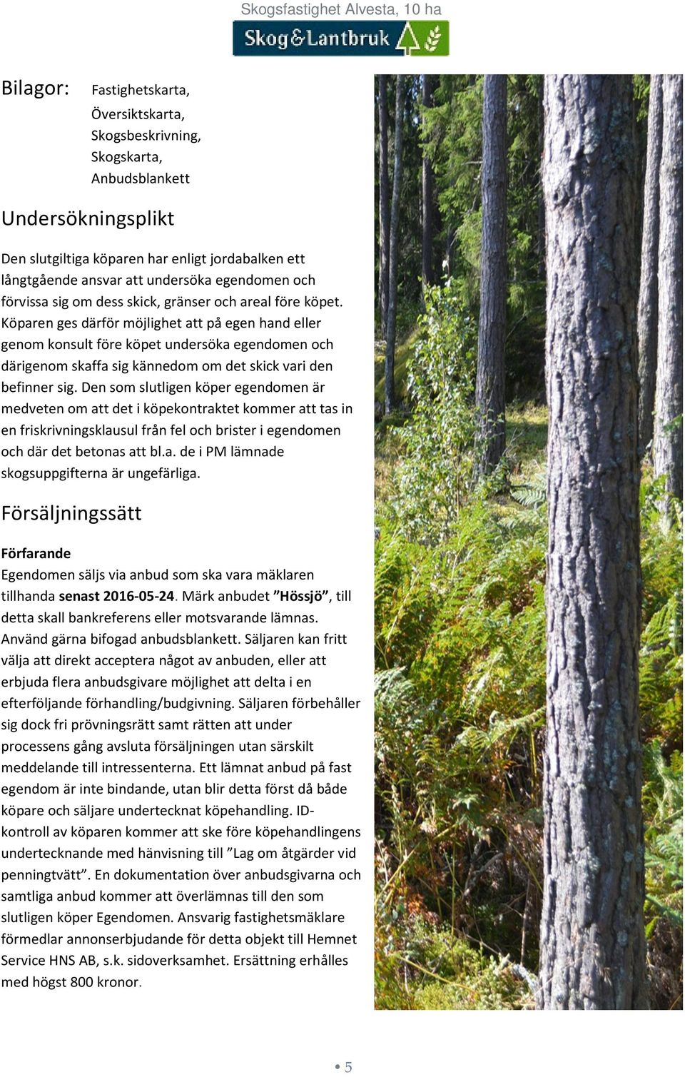 Köparen ges därför möjlighet att på egen hand eller genom konsult före köpet undersöka egendomen och därigenom skaffa sig kännedom om det skick vari den befinner sig.