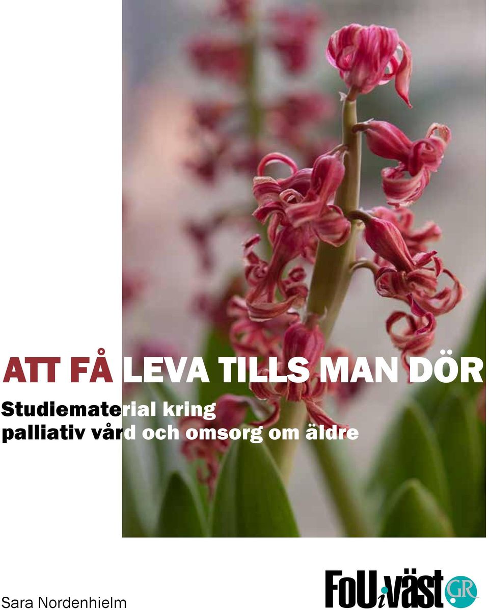 palliativ vård och