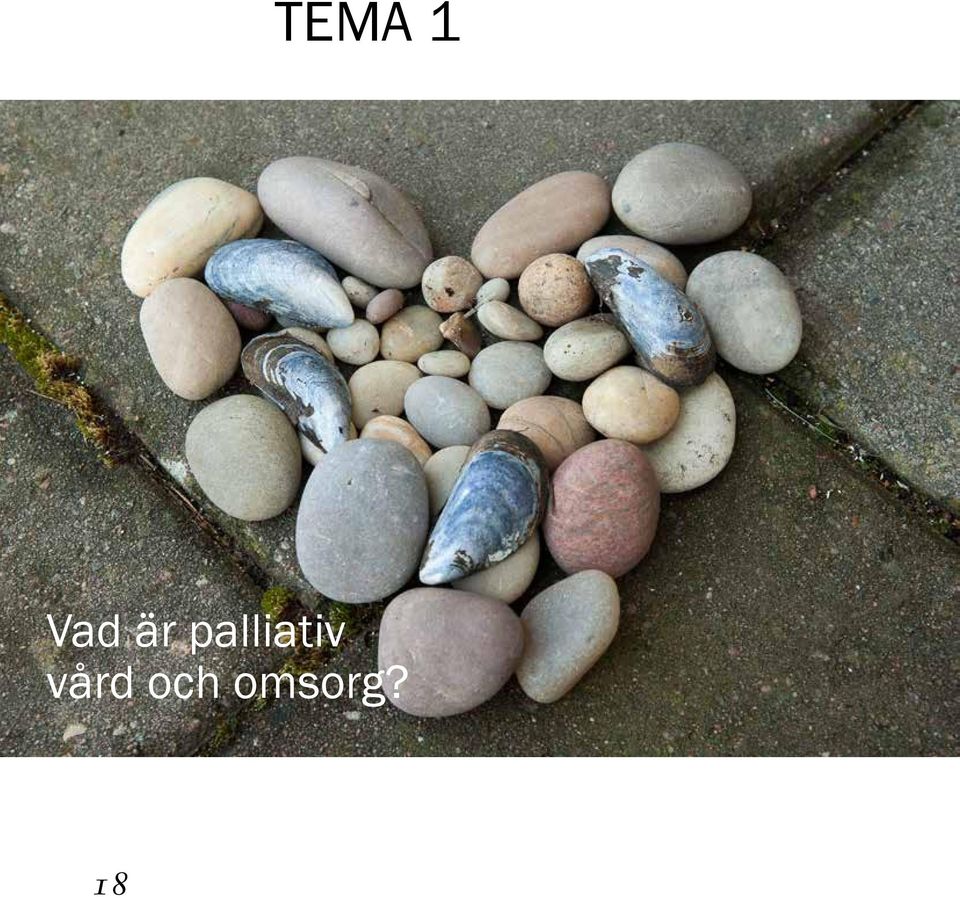 palliativ