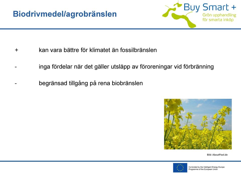 gäller utsläpp av föroreningar vid förbränning -