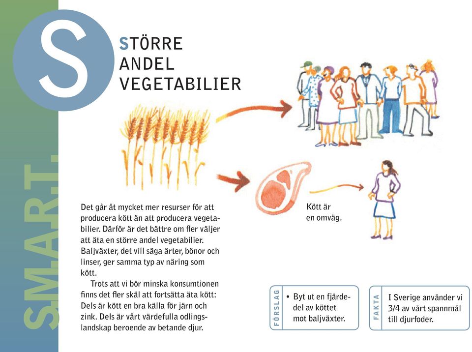 Baljväxter, det vill säga ärter, bönor och linser, ger samma typ av näring som kött.