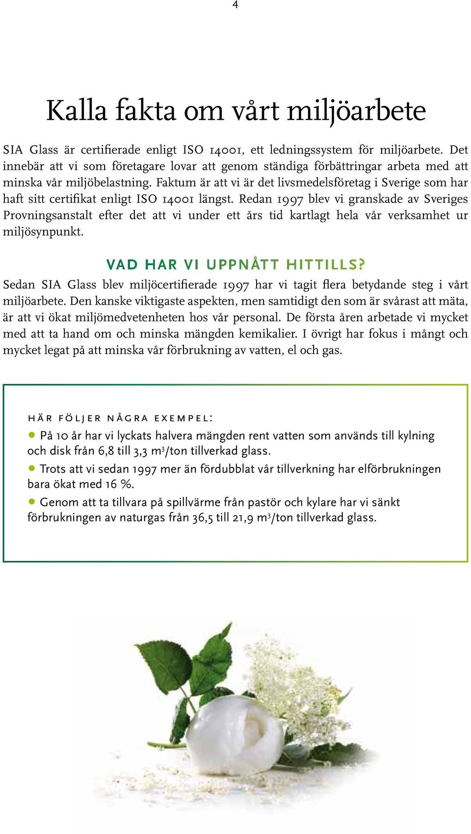 Faktum är att vi är det livsmedelsföretag i Sverige som har haft sitt certifikat enligt ISO 14001 längst.
