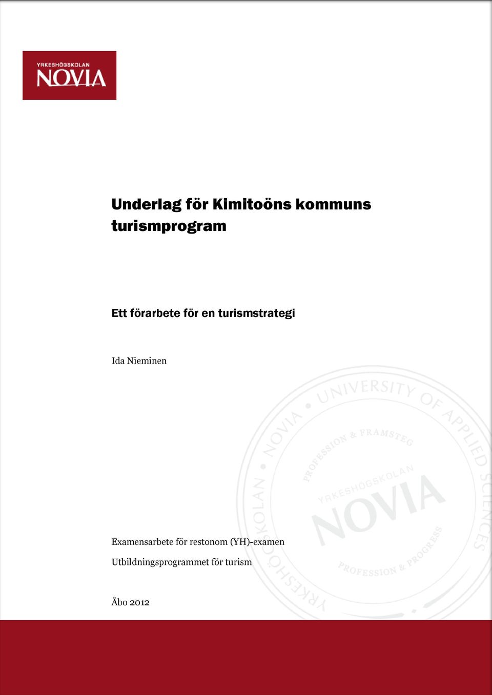 turismstrategi Ida Nieminen Examensarbete