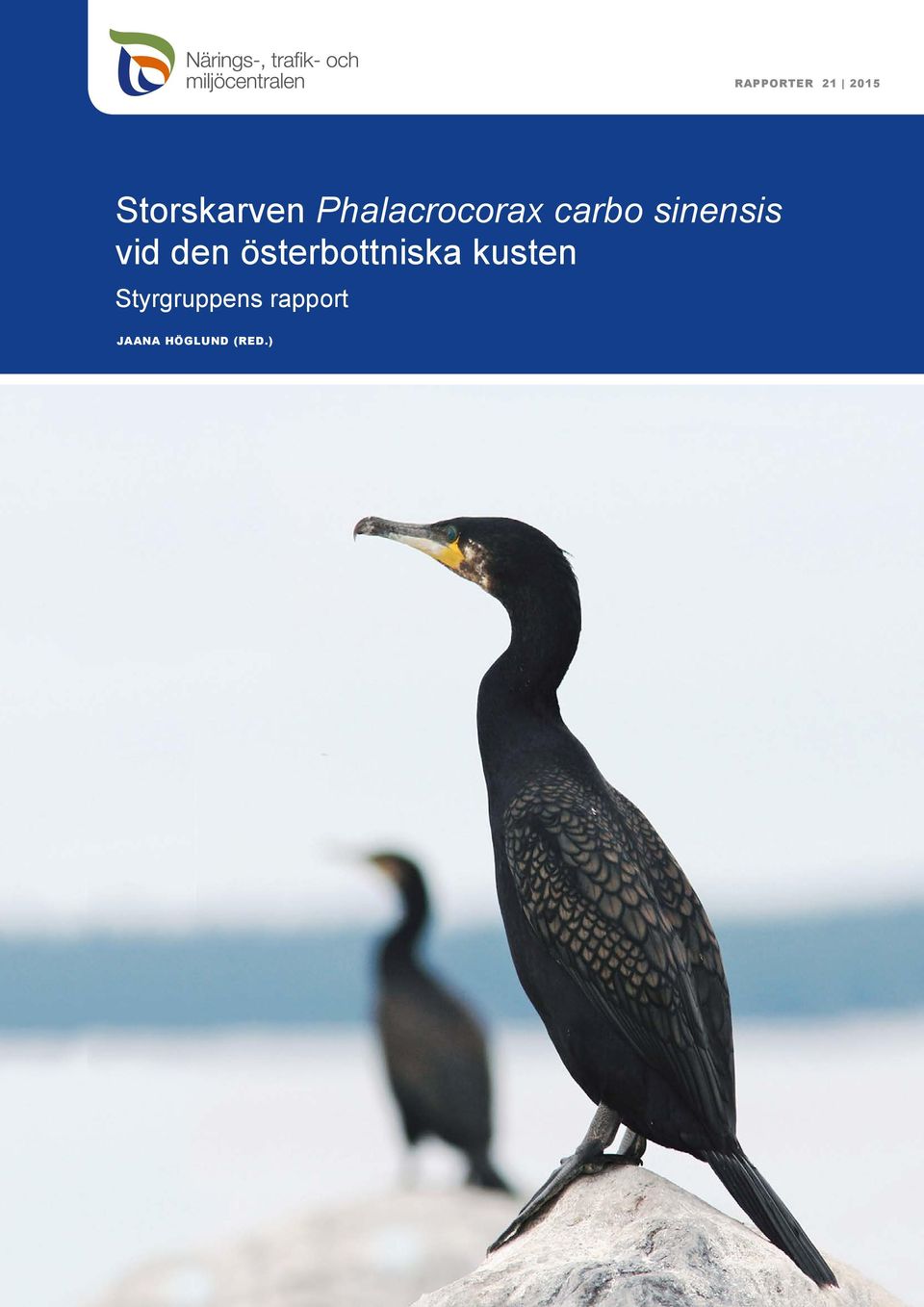 den österbottniska kusten