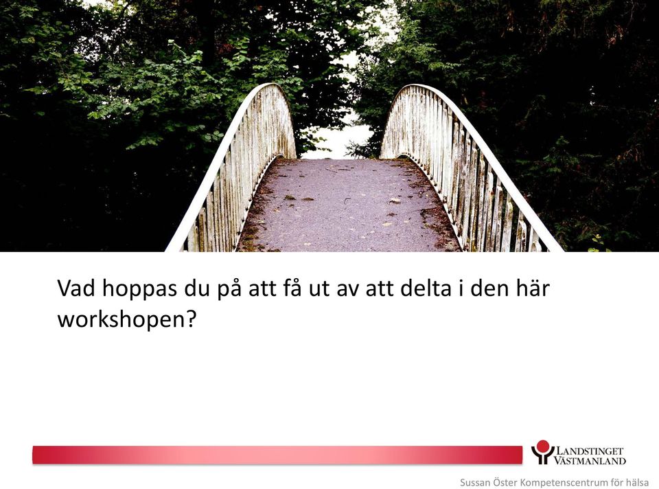 att delta i den