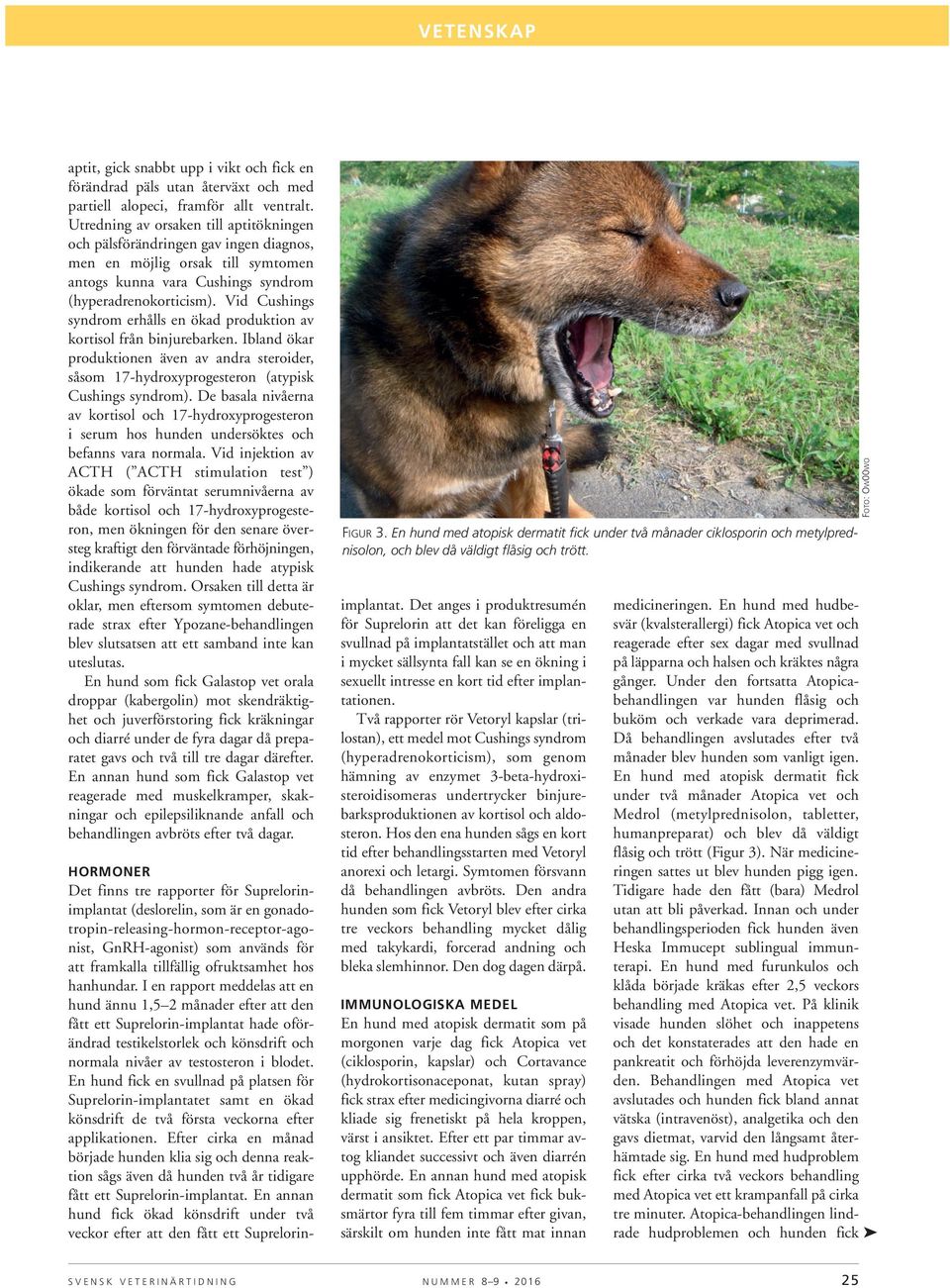 Biverkningar hos hund rapporterade för läkemedel som verkar på olika  organsystem - PDF Free Download