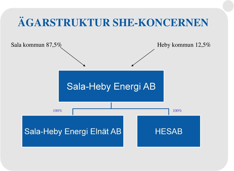 12,5% Sala-Heby Energi AB 100%