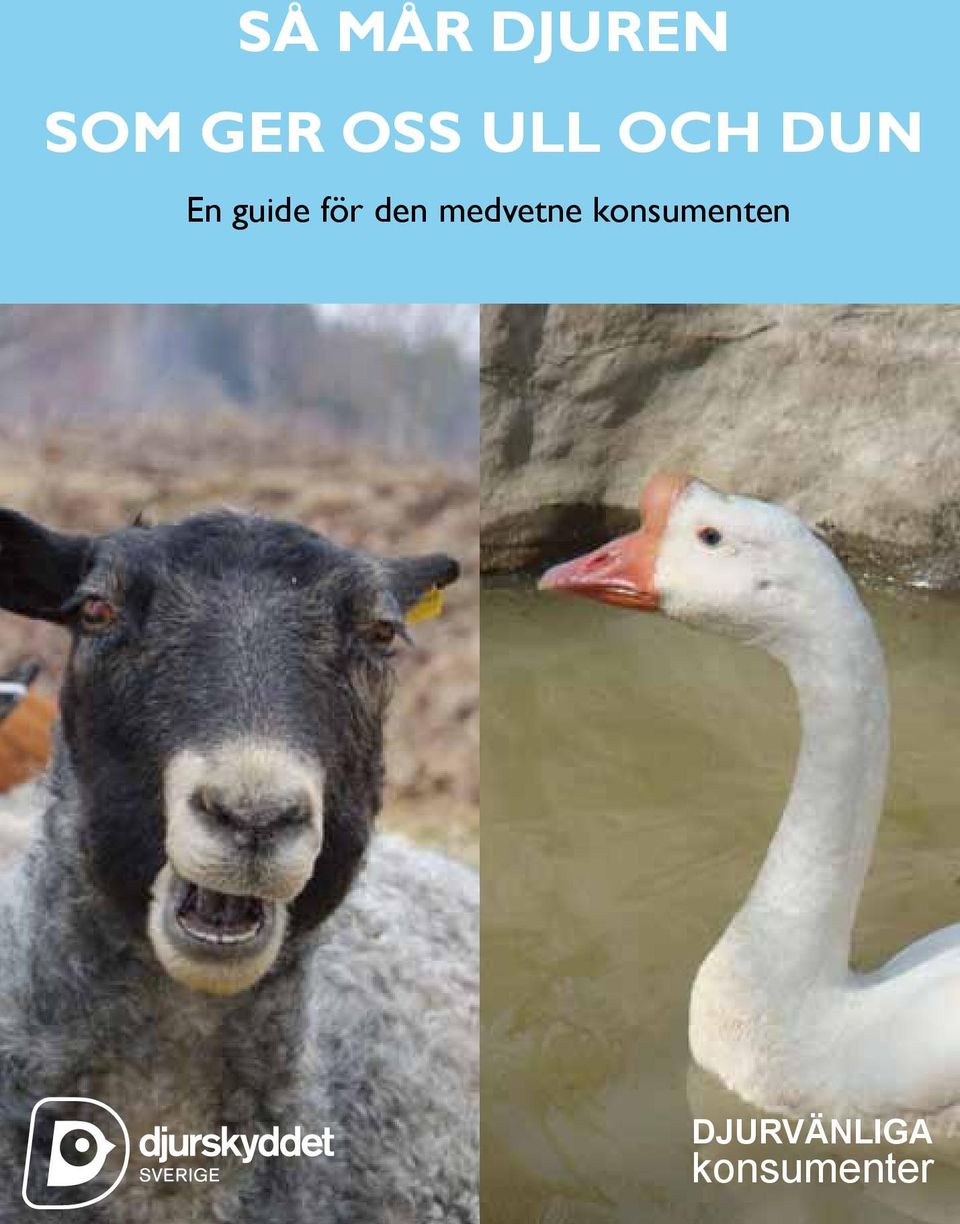 den medvetne konsumenten