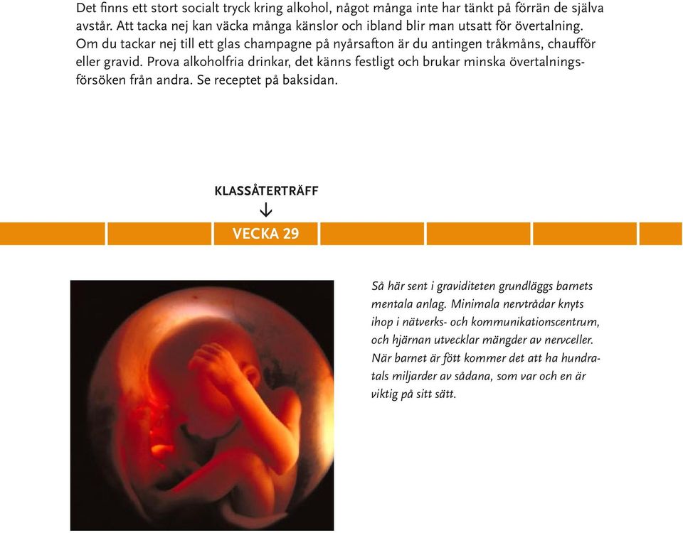 Om du tackar nej till ett glas champagne på nyårsafton är du antingen tråkmåns, chaufför eller gravid.