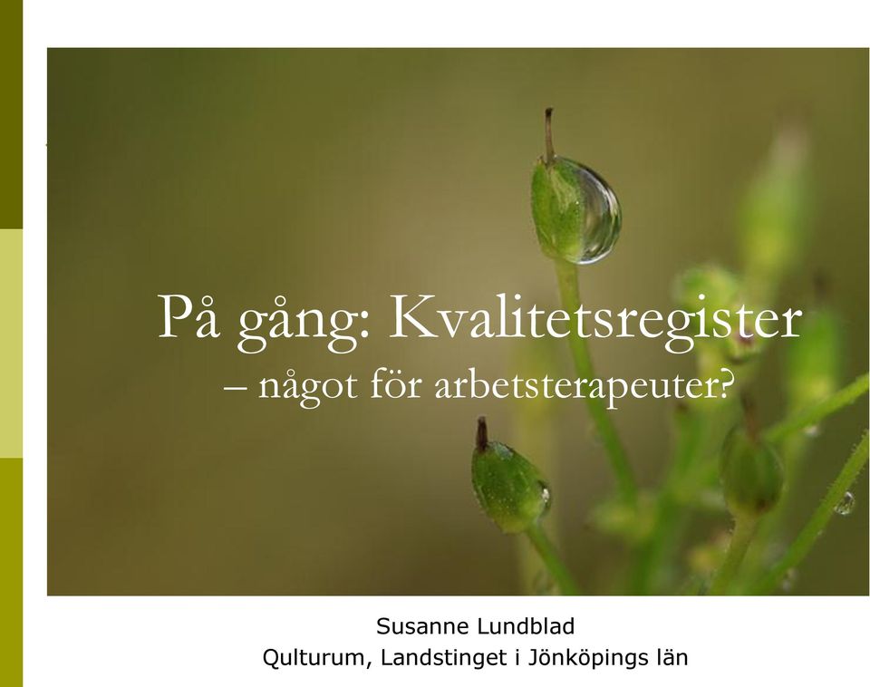 Susanne Lundblad Qulturum,