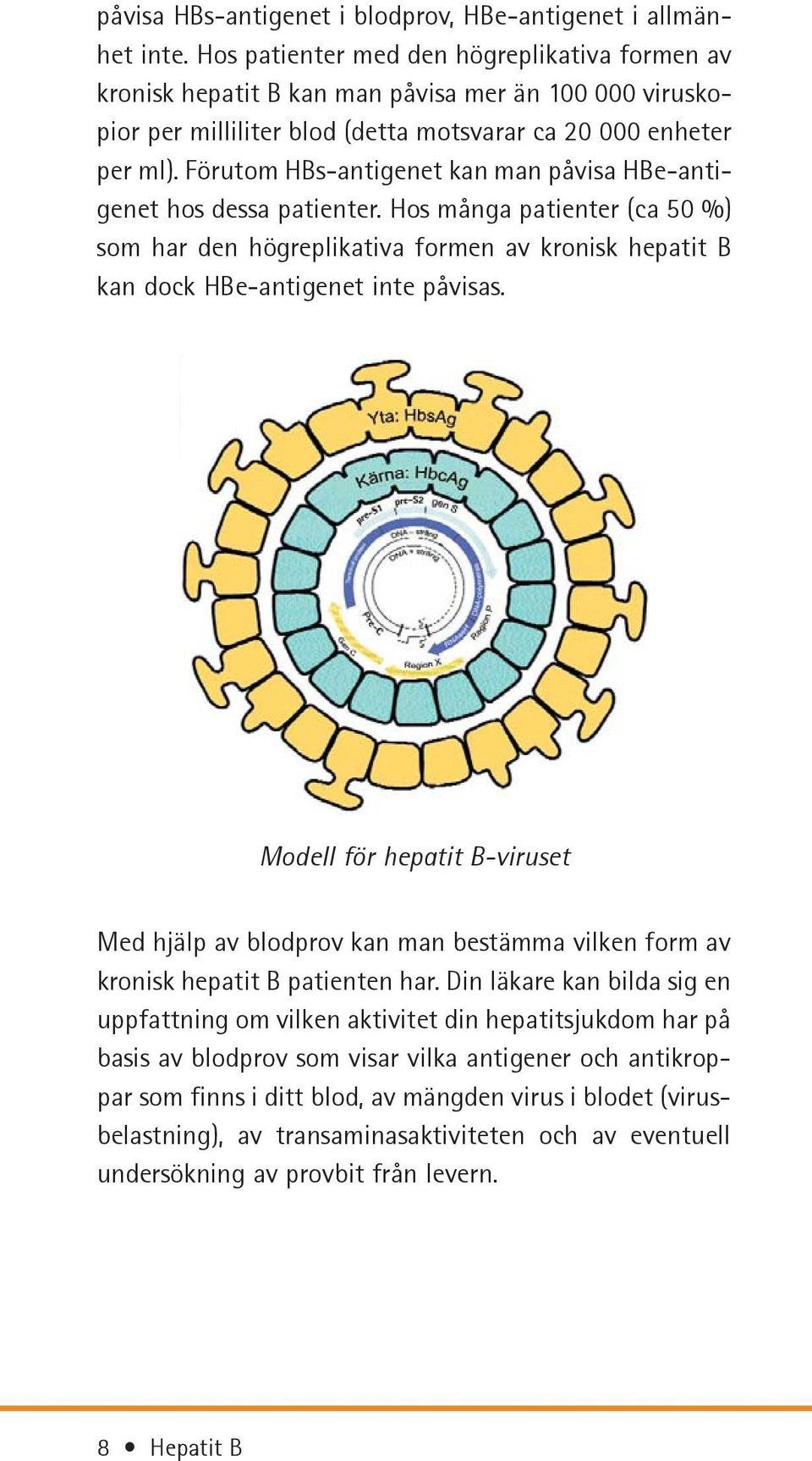 Förutom HBs-antigenet kan man påvisa HBe-antigenet hos dessa patienter. Hos många patienter (ca 50 %) som har den högreplikativa formen av kronisk hepatit B kan dock HBe-antigenet inte påvisas.