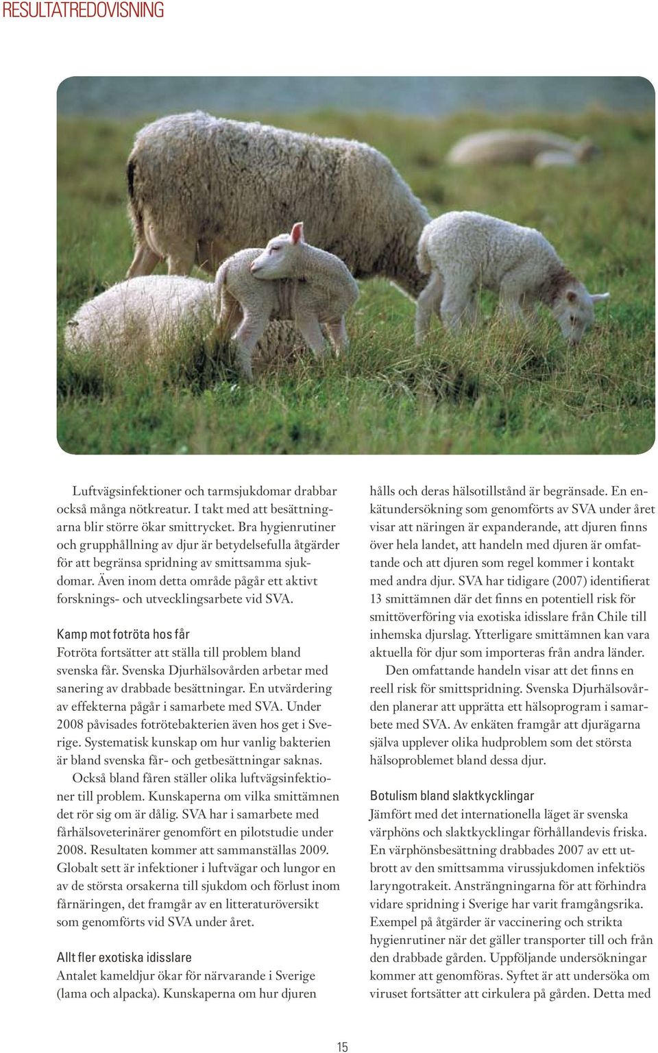 Även inom detta område pågår ett aktivt forsknings- och utvecklingsarbete vid SVA. Kamp mot fotröta hos får Fotröta fortsätter att ställa till problem bland svenska får.