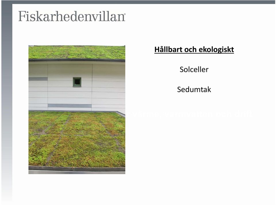 Sedumtak som behövs