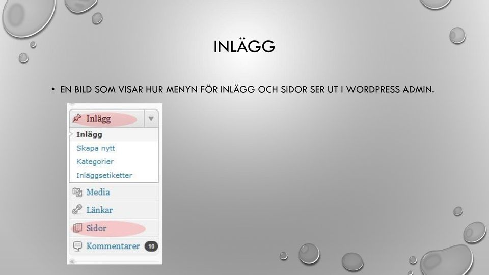 INLÄGG OCH SIDOR SER