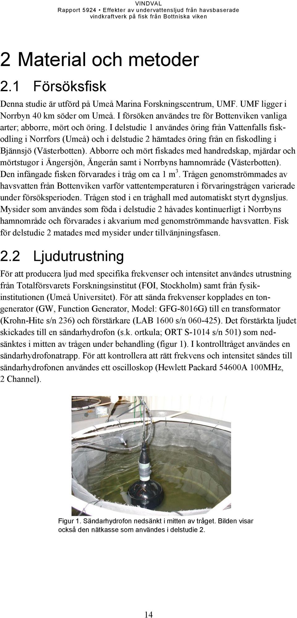 I delstudie 1 användes öring från Vattenfalls fiskodling i Norrfors (Umeå) och i delstudie 2 hämtades öring från en fiskodling i Bjännsjö (Västerbotten).