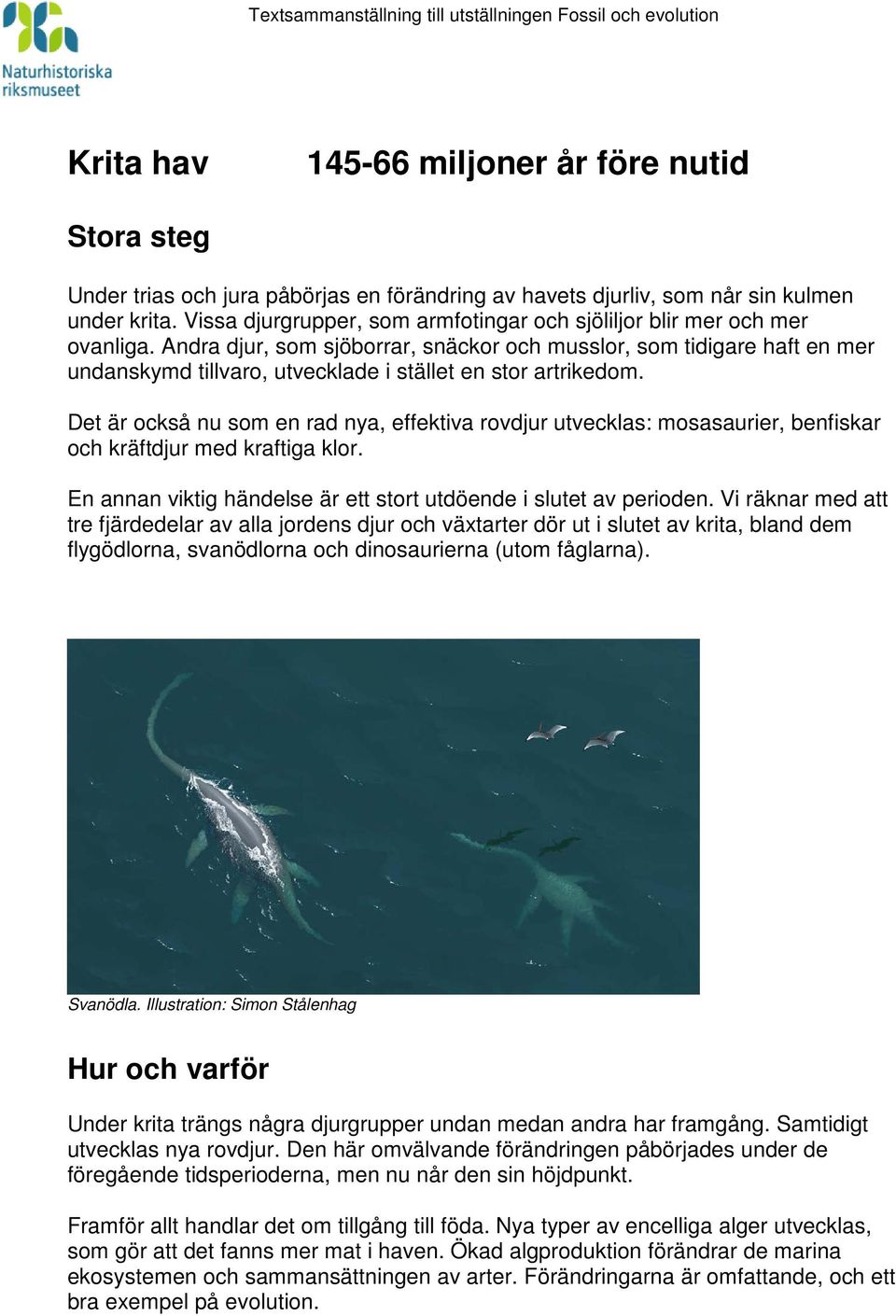 Andra djur, som sjöborrar, snäckor och musslor, som tidigare haft en mer undanskymd tillvaro, utvecklade i stället en stor artrikedom.