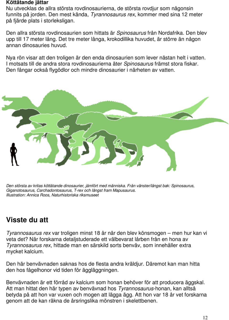 Den blev upp till 17 meter lång. Det tre meter långa, krokodillika huvudet, är större än någon annan dinosauries huvud.