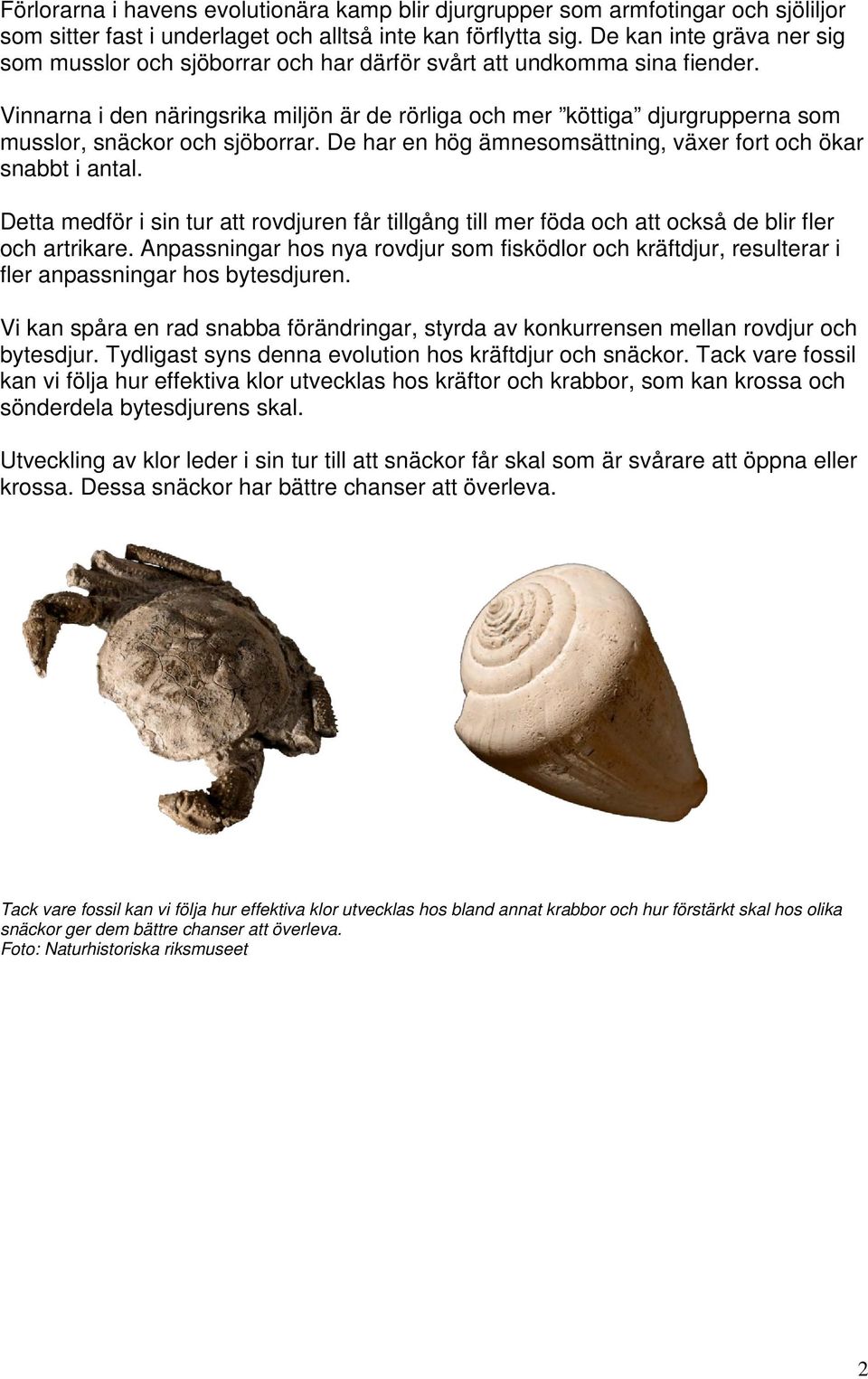 Vinnarna i den näringsrika miljön är de rörliga och mer köttiga djurgrupperna som musslor, snäckor och sjöborrar. De har en hög ämnesomsättning, växer fort och ökar snabbt i antal.