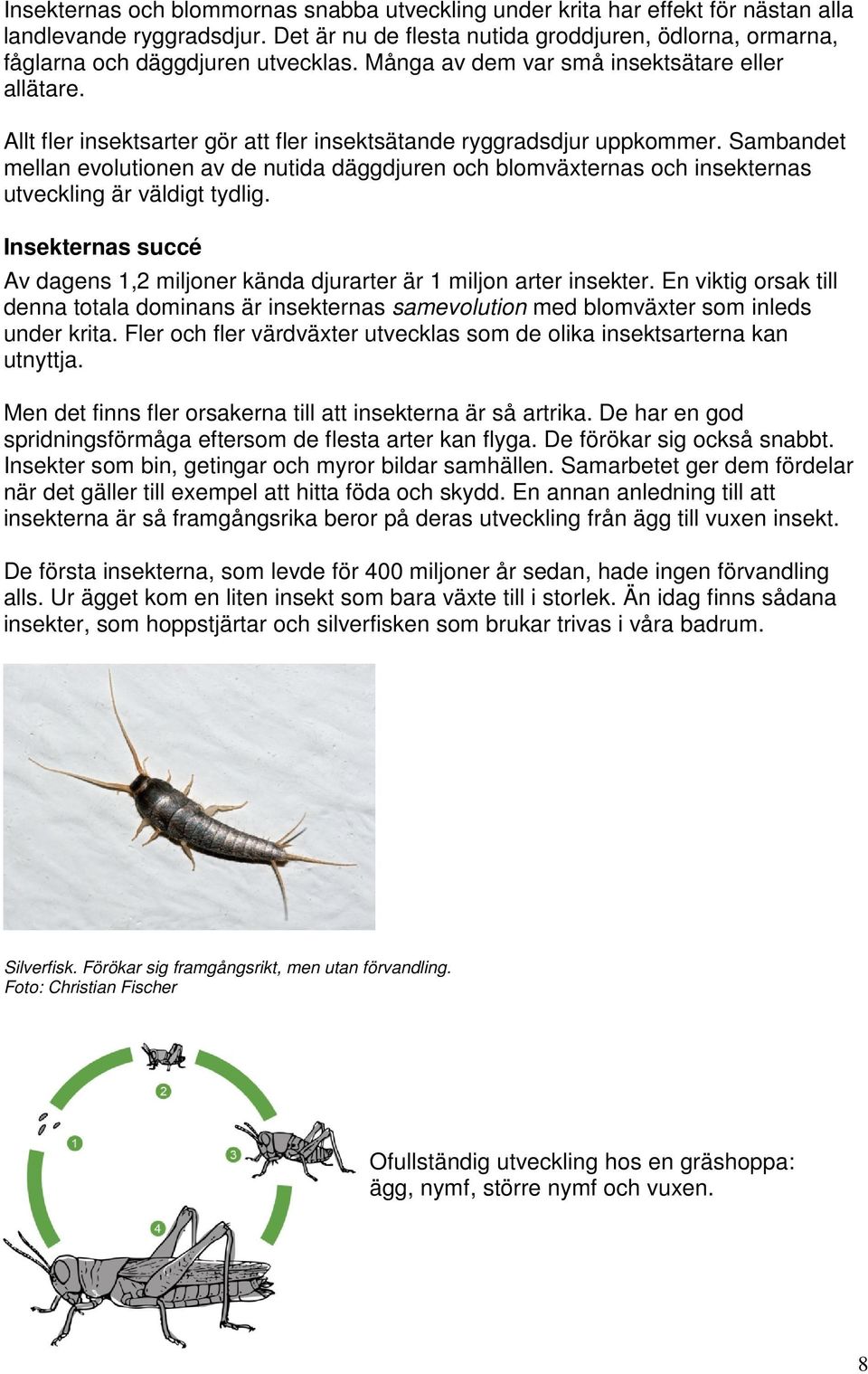 Allt fler insektsarter gör att fler insektsätande ryggradsdjur uppkommer. Sambandet mellan evolutionen av de nutida däggdjuren och blomväxternas och insekternas utveckling är väldigt tydlig.