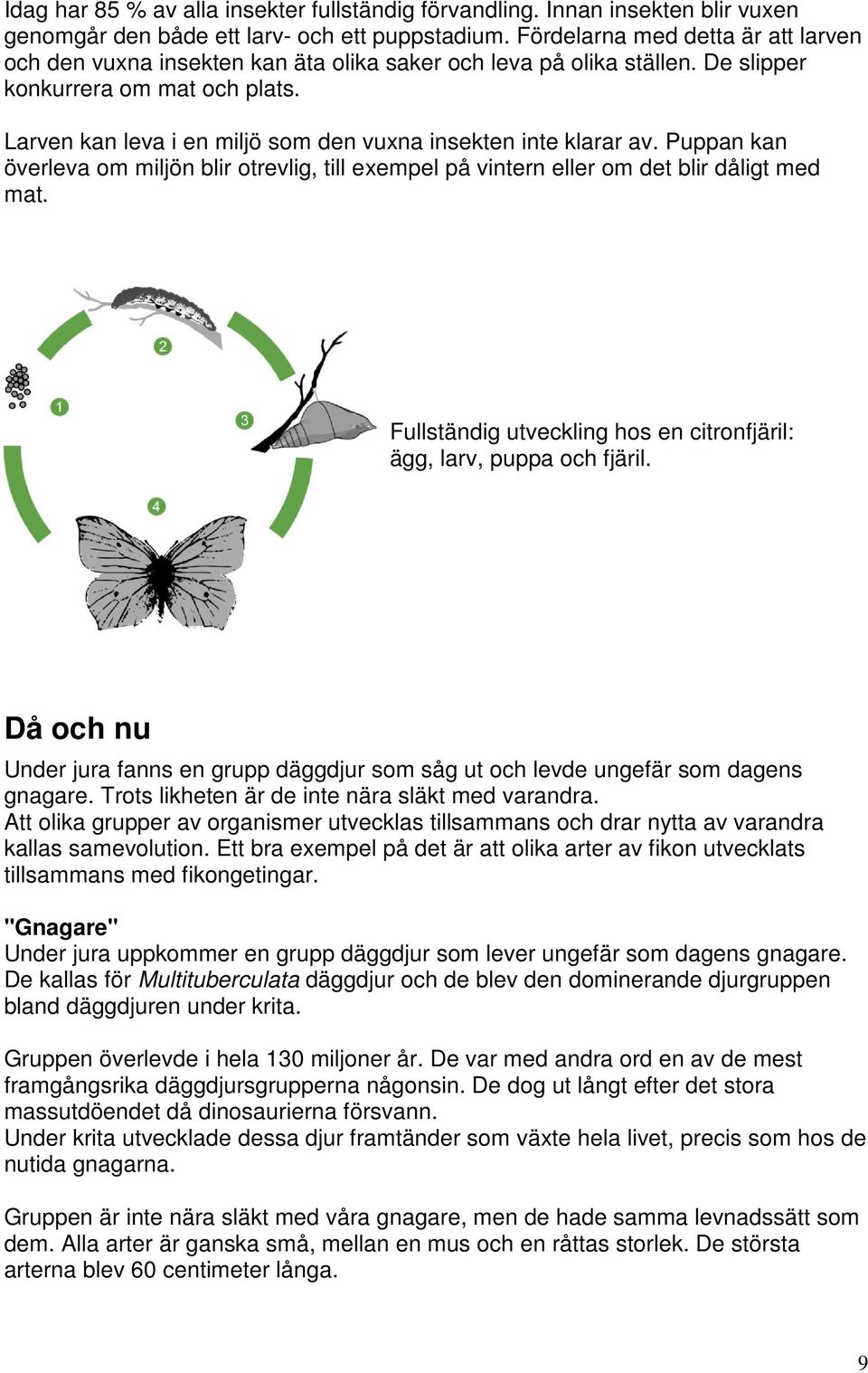 Larven kan leva i en miljö som den vuxna insekten inte klarar av. Puppan kan överleva om miljön blir otrevlig, till exempel på vintern eller om det blir dåligt med mat.