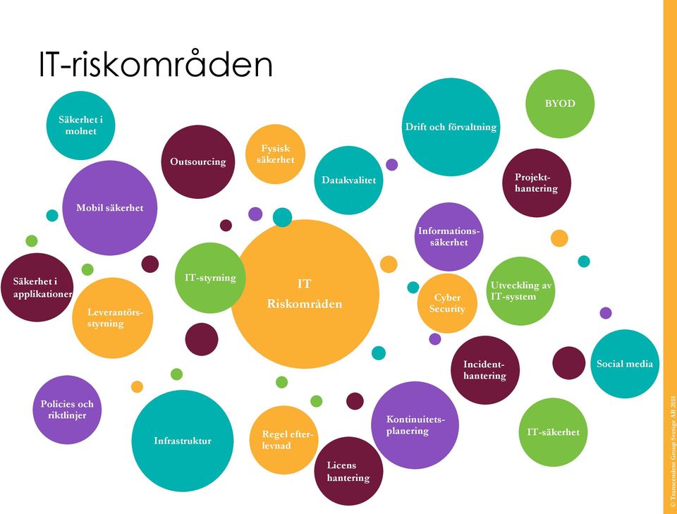 IT-styrning IT Riskområden Cyber Security Utveckling av IT-system Incidenthantering Social media