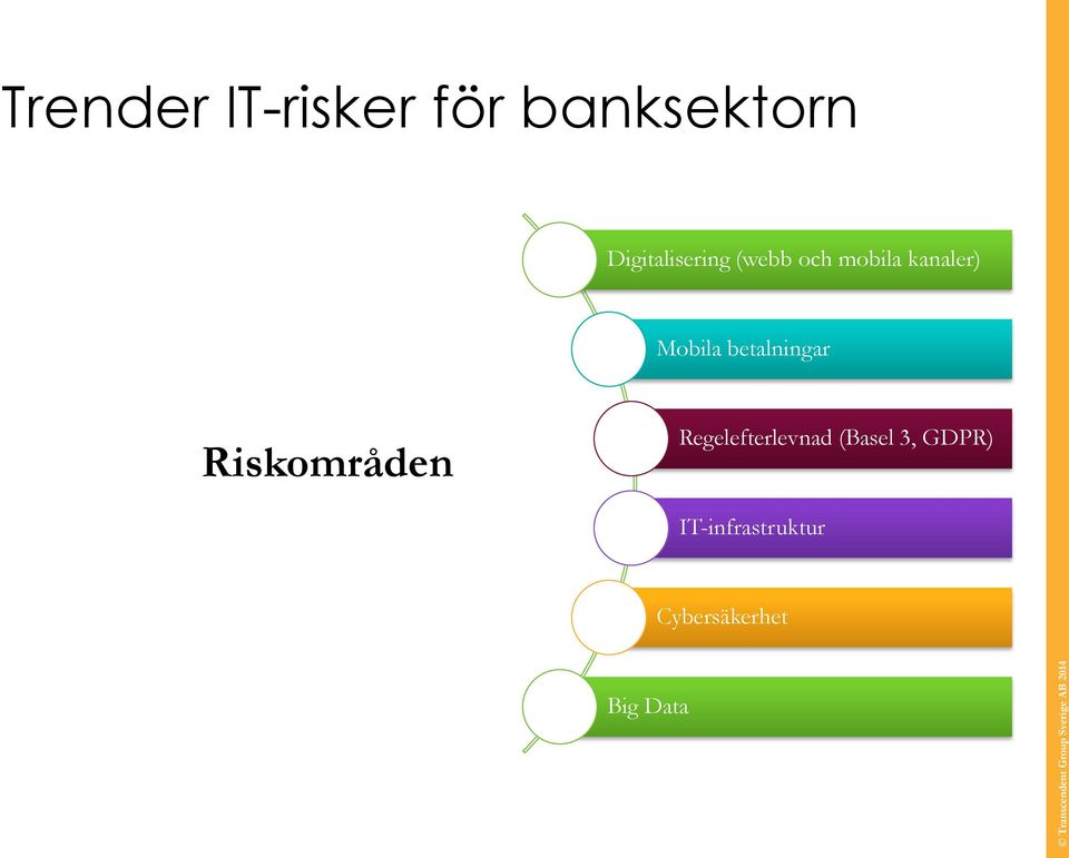 kanaler) Mobila betalningar Riskområden