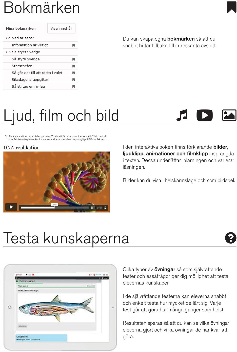 Dessa underlättar inlärningen och varierar läsningen. Bilder kan du visa i helskärmsläge och som bildspel.