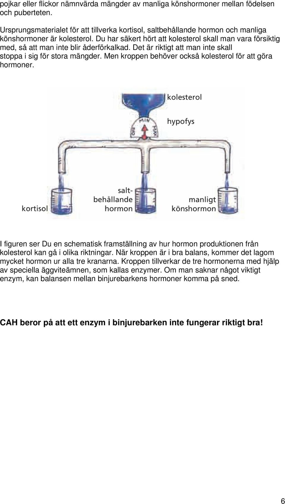 Du har säkert hört att kolesterol skall man vara försiktig med, så att man inte blir åderförkalkad. Det är riktigt att man inte skall stoppa i sig för stora mängder.