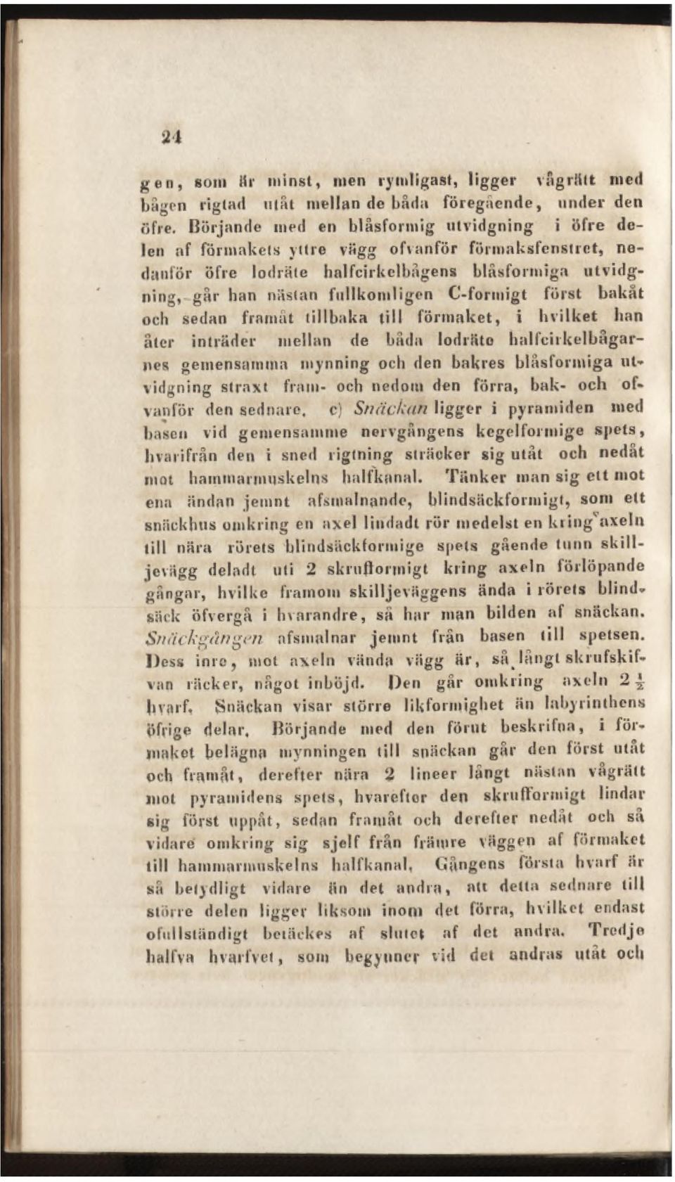 C-formigt först bakåt och sedan framåt tillbaka till förmaket, i b vi 1ket ban åter inträder mellan de båda lodräte halfcii kelbågarnes gemensamma mynning och den bakres blåsformiga ut* vidgning