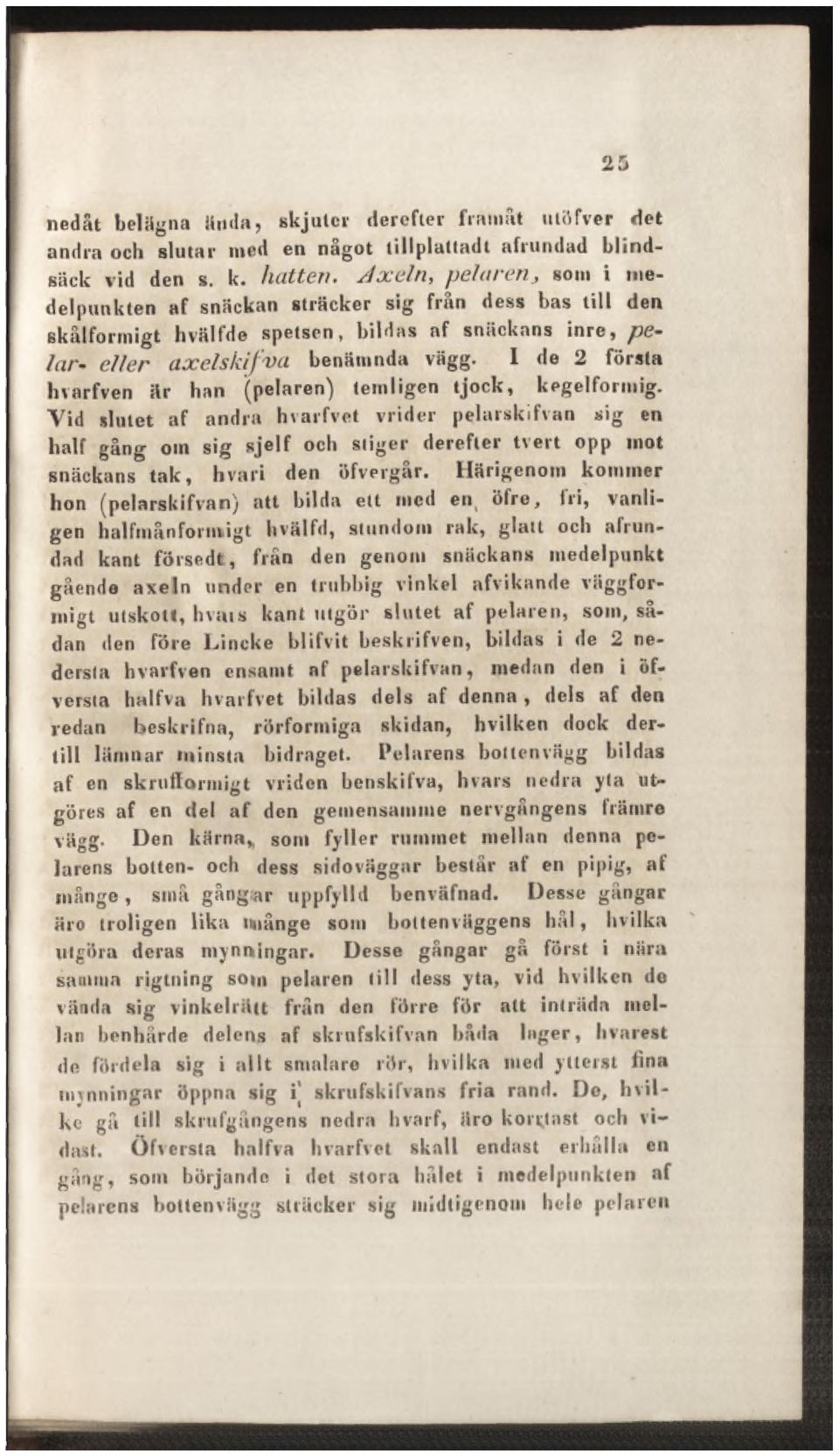 1 de 2 första hvarfven är han (pelaren) temligcn tjock, kegelförmig.