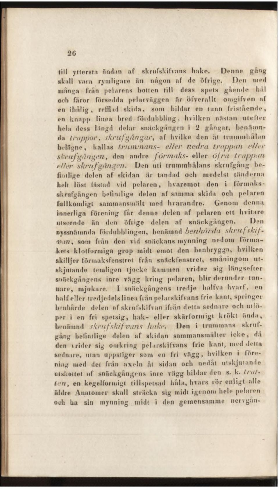 fördubbling, Inilken nästan utefter hela dess längd delar snäokgången i 2 gångar, benämnda trappor, skrufgängar, af hvilke den ål trummhalan helägne, kallas trummans- eller nedra trappan eller