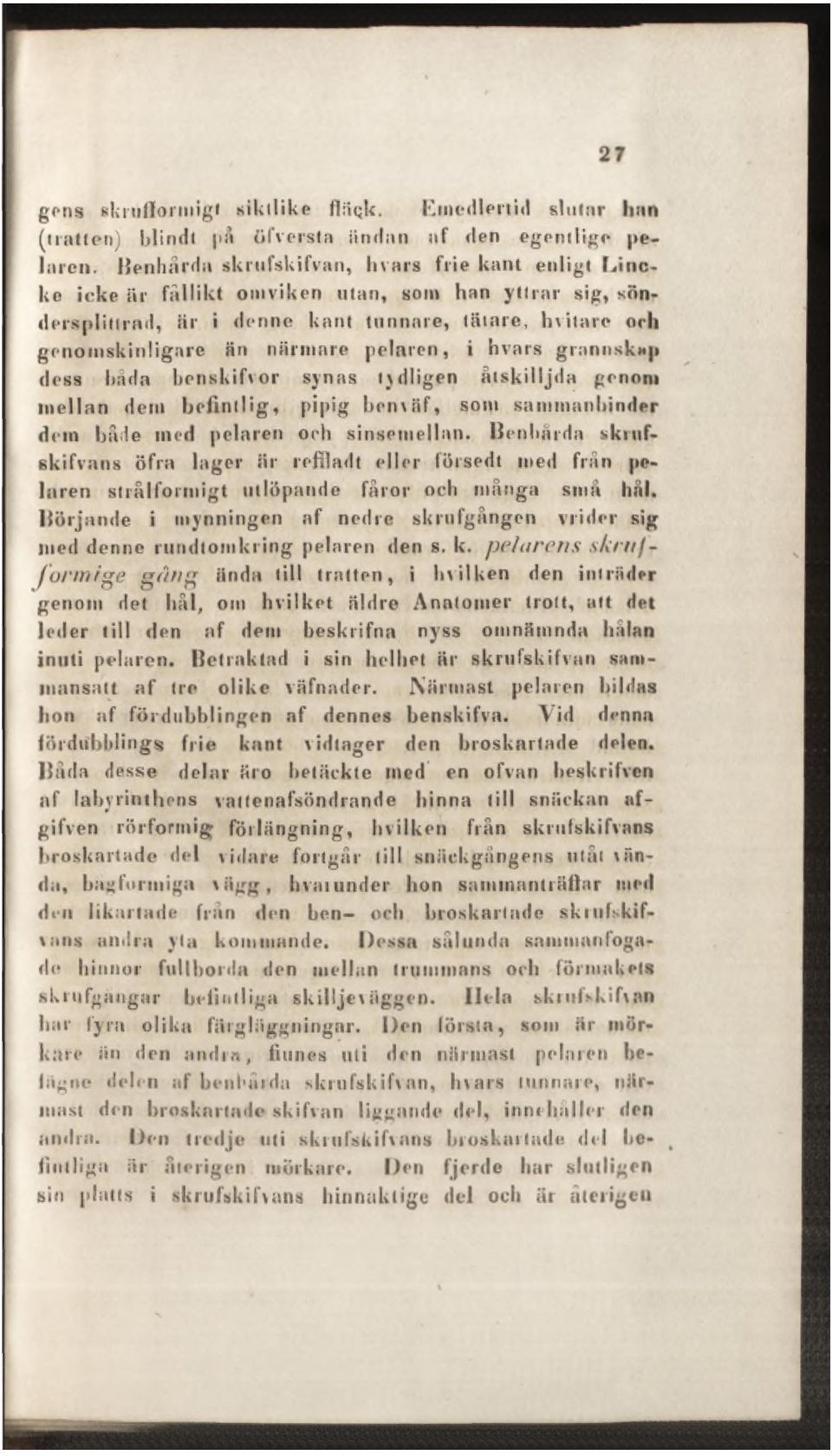 pelaren, i hvars grannskap dess häda benskifvor synas tydligen åtskilljda genom mellan dem befintlig, pipig benväf, som sammanbinder dein både ined pelaren och sinsemellan.