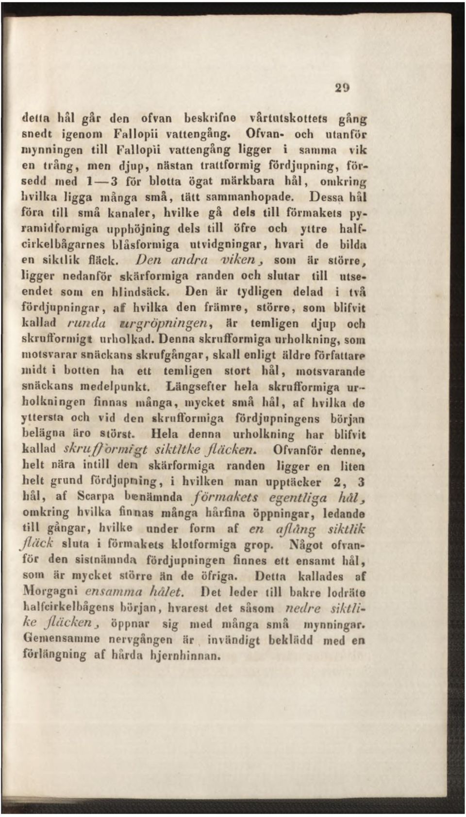 små, tätt sammanhopade.