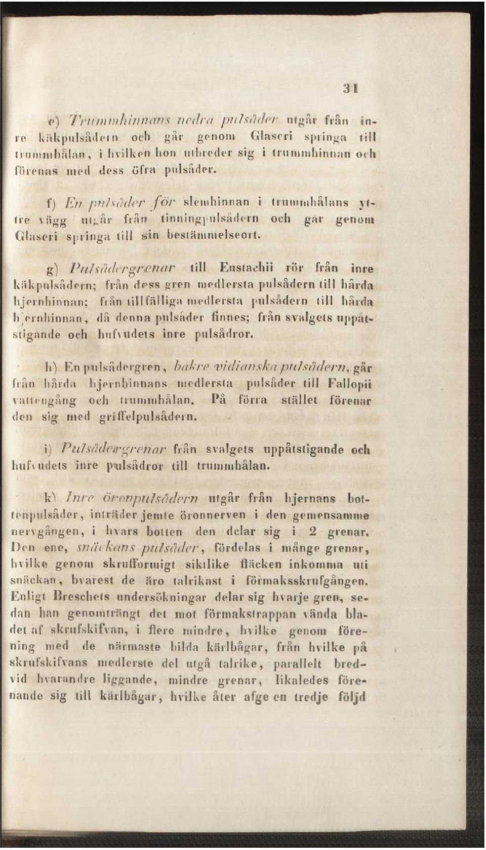 g) Pulsädersrenar till Eustachii rör från inre käkpulsådern; flån dess gren niedlersta pulsådern till hårda hjernhinnan; från till fälliga niedlersta pulsådern till hårda hernhinnan, då denna