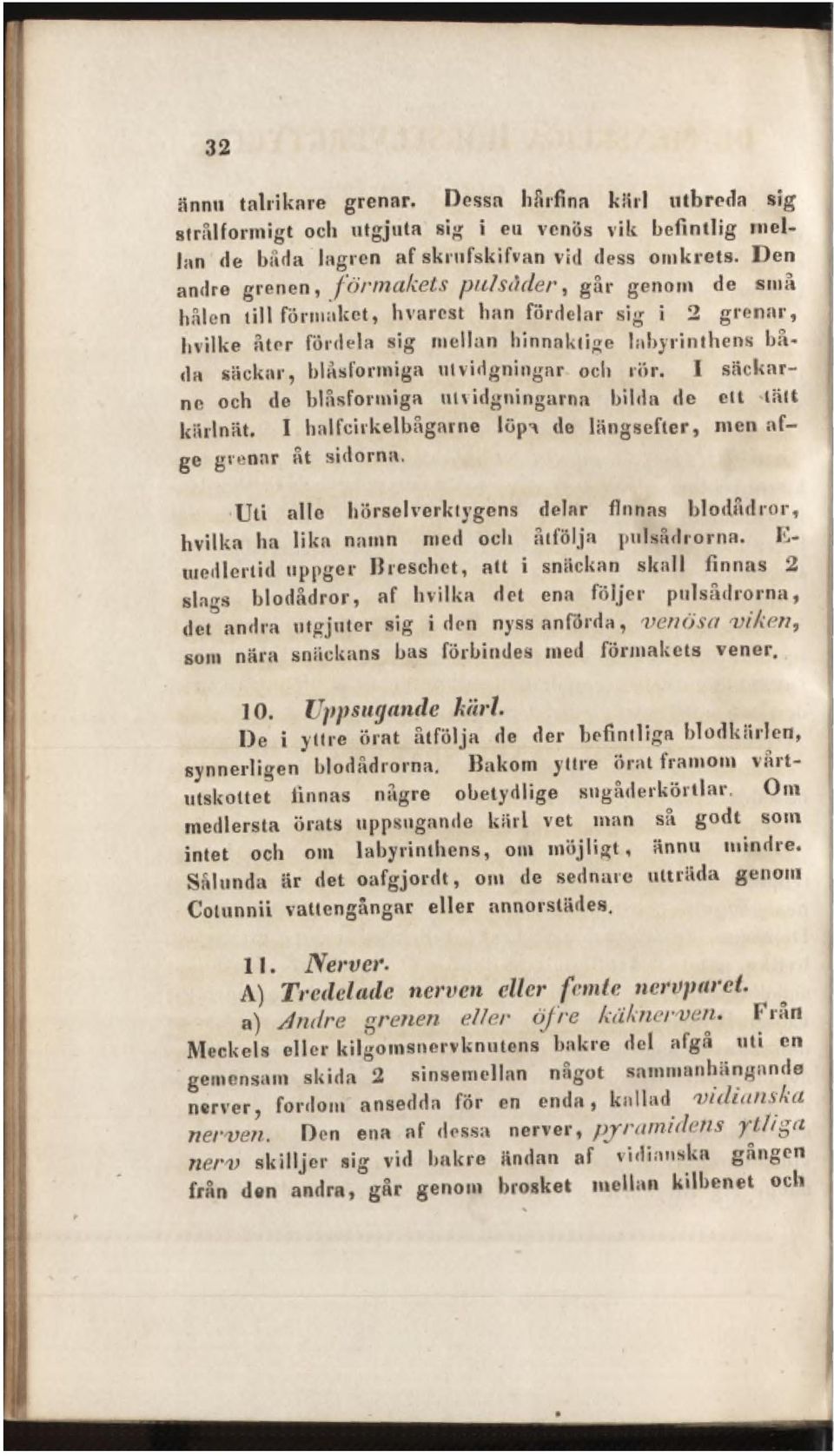 utvidgningar och rör. I säckarne och de blåsformiga utvidgningarna bilda de ett tätt kärlnät. 1 halfcirkelbågarne löpa de längsefter, men afge grenar åt sidorna.