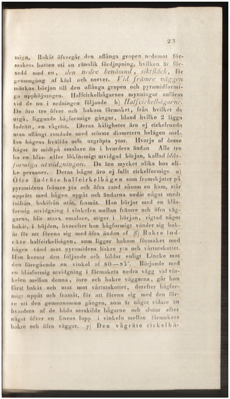 I)e äro Ire öfver och bakom lörmaket, fran hvilket de ul gå, liggande bågfornnige gångar, bland hvilke 2 ligga lodriilt, on vågrätt. Dleras håligheter äro ej cirkelrunda nian allån»:!