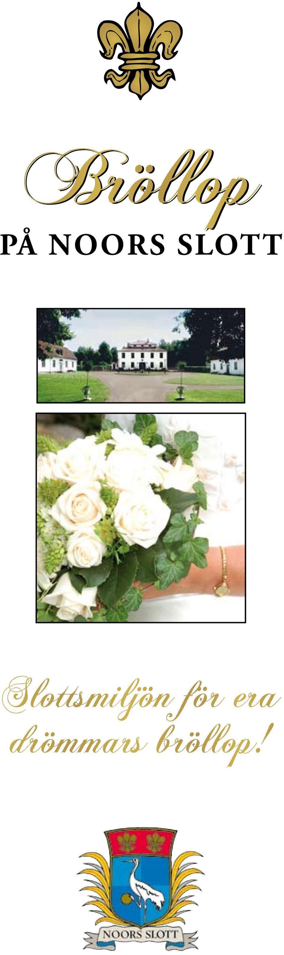 Slottsmiljön