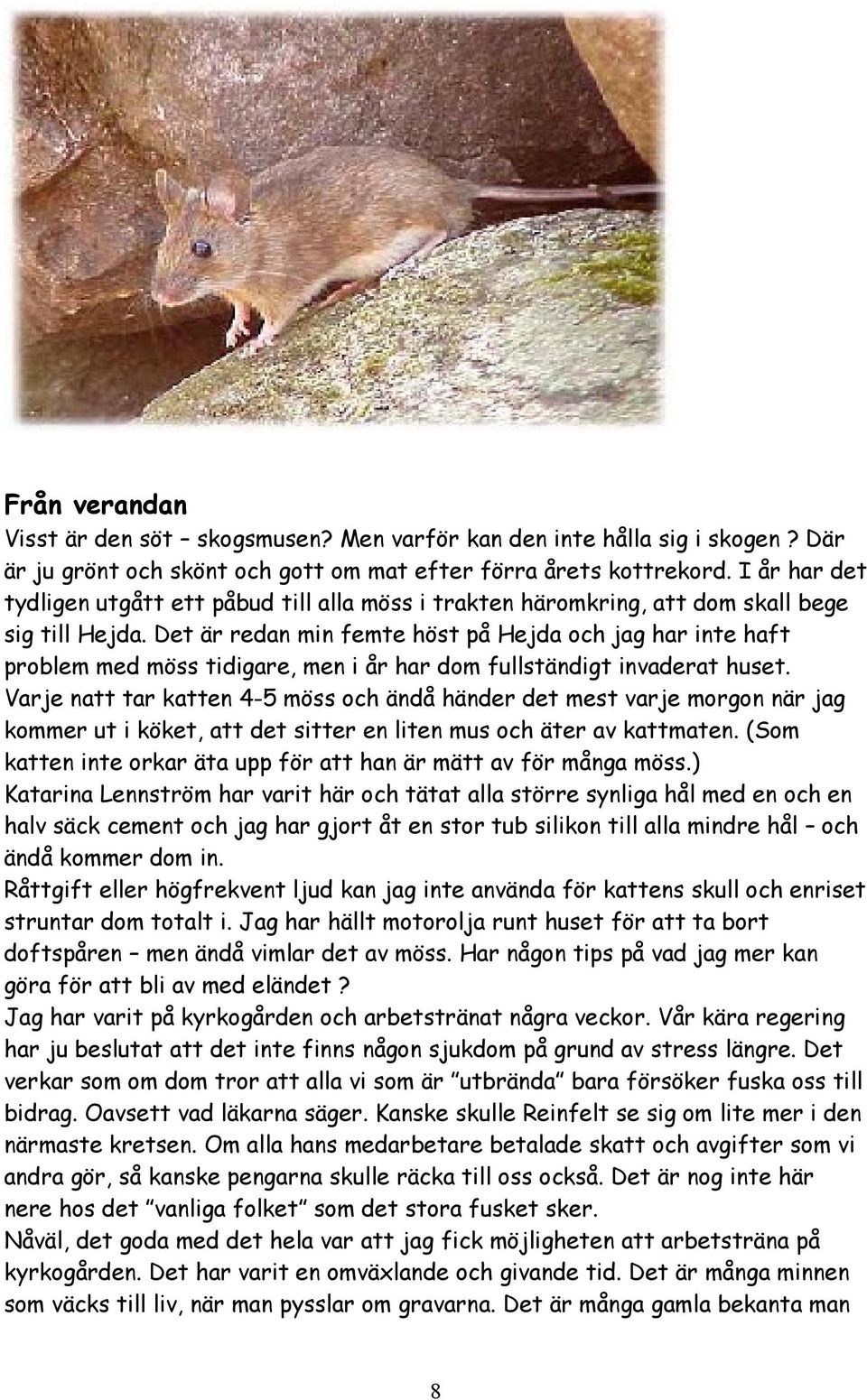 Det är redan min femte höst på Hejda och jag har inte haft problem med möss tidigare, men i år har dom fullständigt invaderat huset.