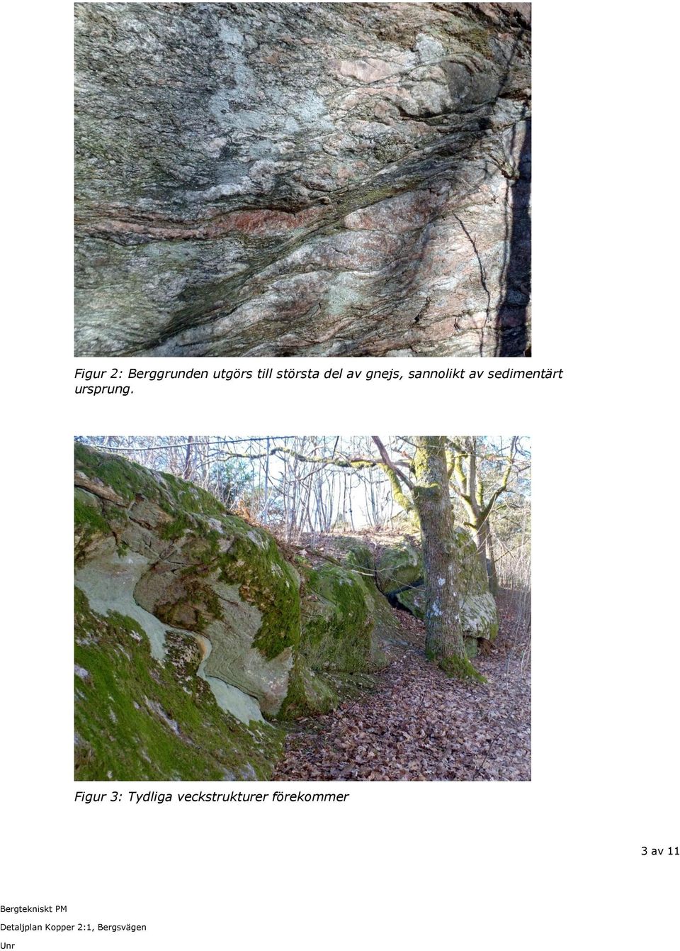 sedimentärt ursprung.